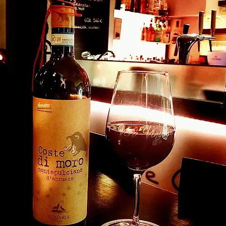 호텔 Galerie 파더본